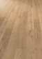 Preview: Commercial Shoreline Oak